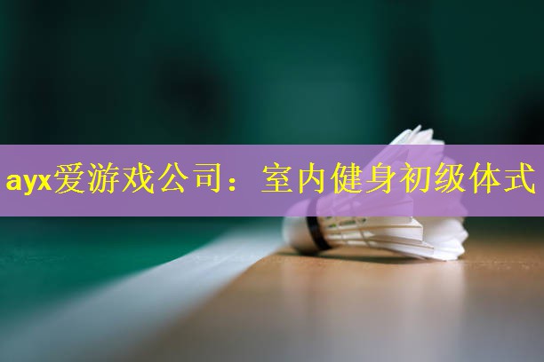 ayx爱游戏公司：室内健身初级体式