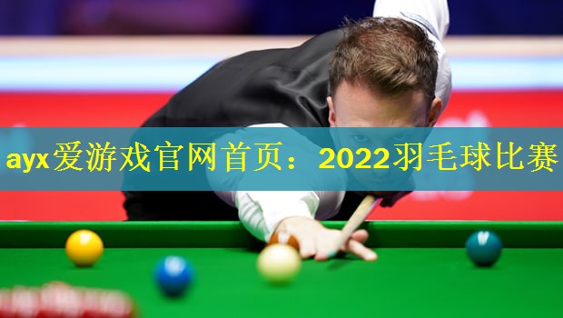 2022羽毛球比赛