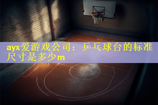 乒乓球台的标准尺寸是多少m