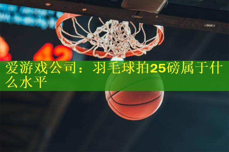 羽毛球拍25磅属于什么水平