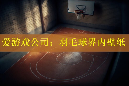 羽毛球界内壁纸