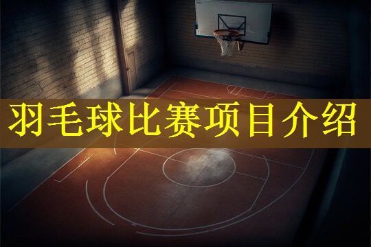 羽毛球比赛项目介绍