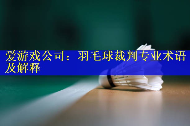 羽毛球裁判专业术语及解释